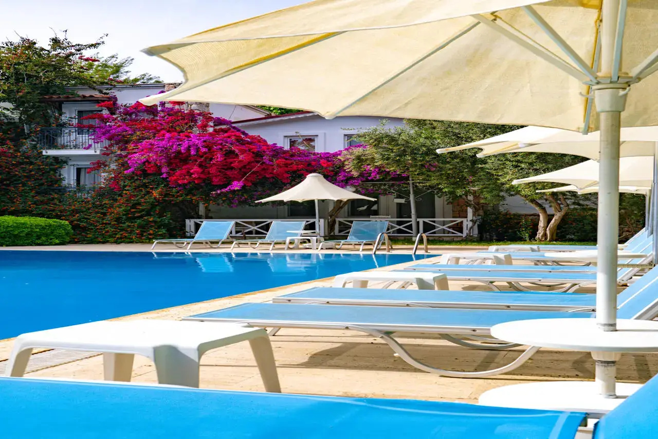 Photo - Moonshine Hotel & Suites