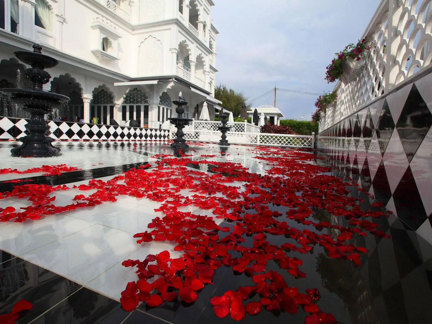 Photo - Chloe Gallery