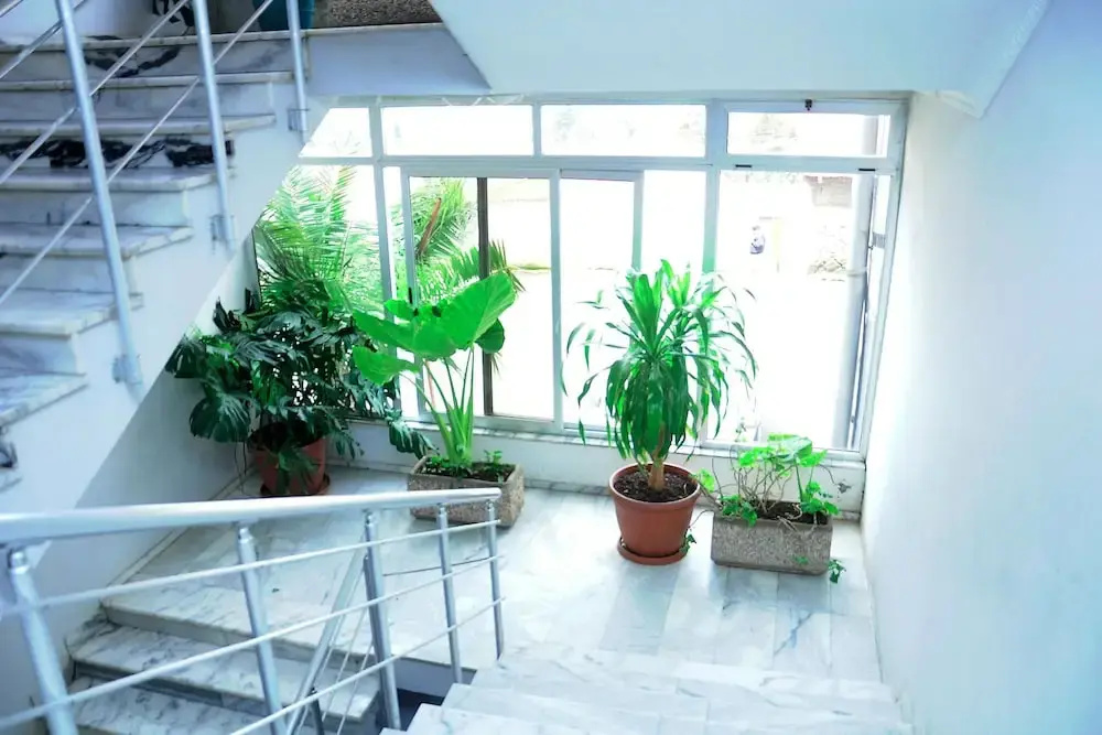 Foto - Ras Amba Hotel
