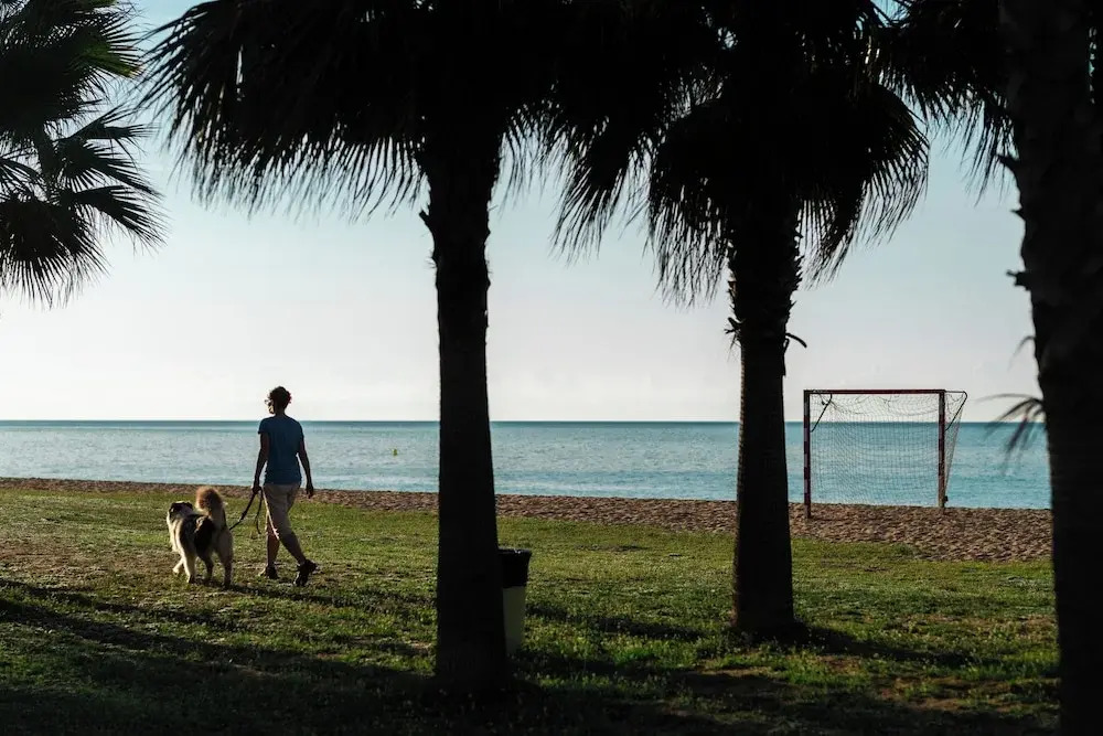 Foto - Camping Bellsol Pets