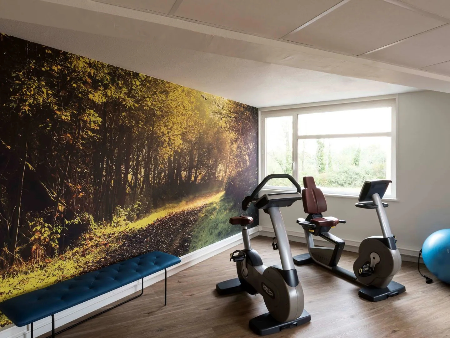 Foto - ibis Styles Lyon Bron Eurexpo