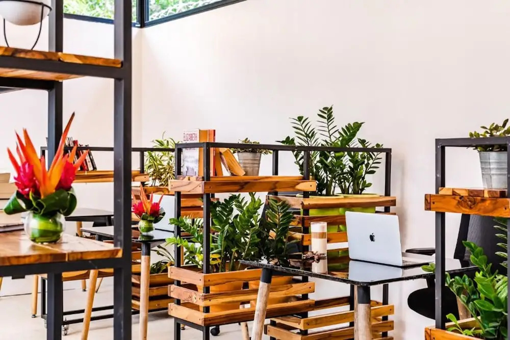 Photo - In the Shade Hotel - Coworking - 300Mbit - Adults Only