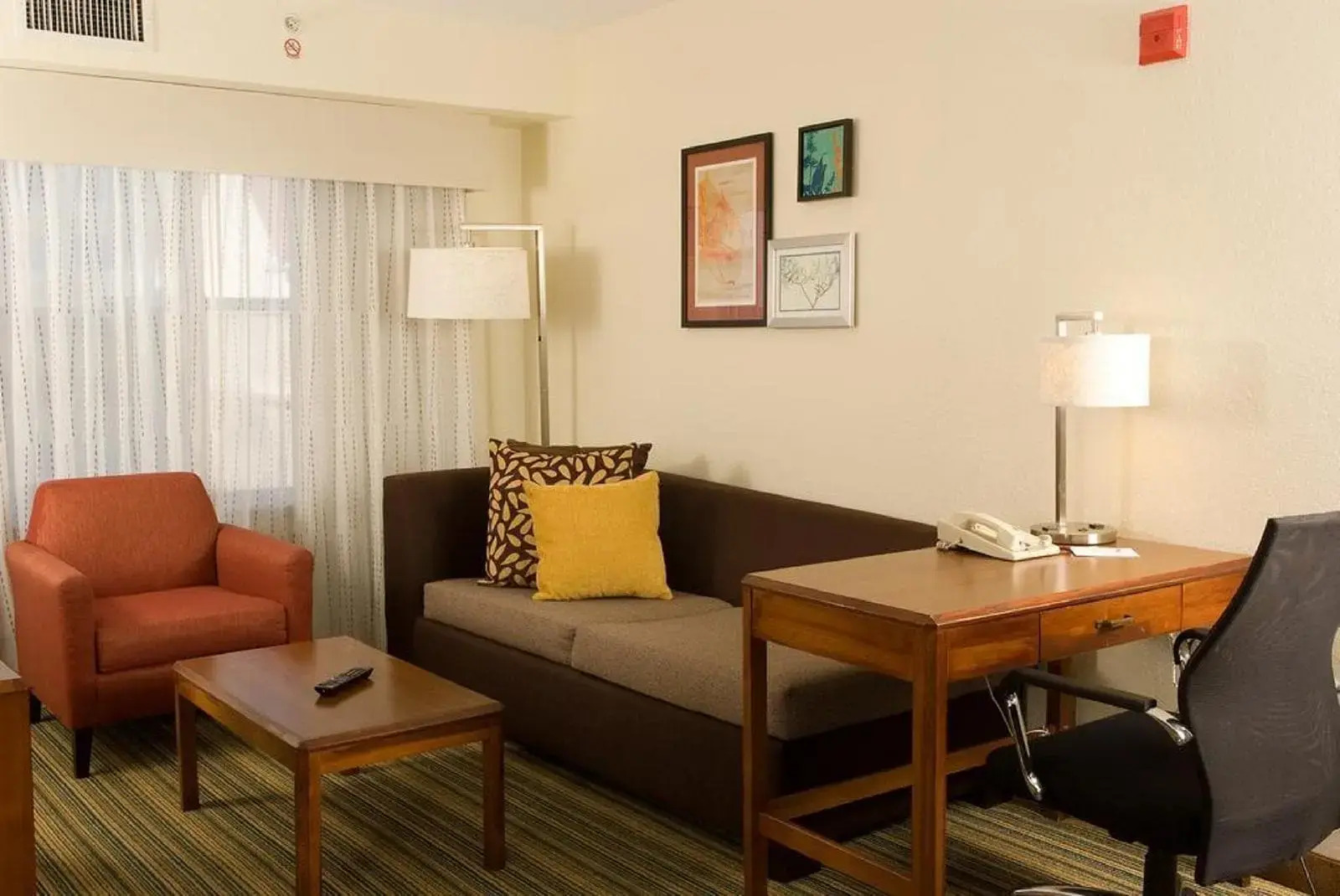 Photo - Residence Inn Orlando Convention Center