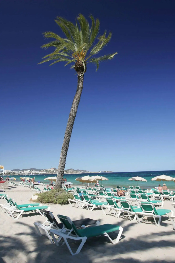 Foto - Apartamentos Jet - Adults Only