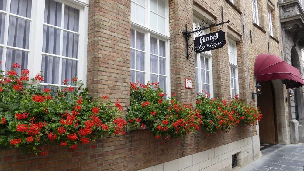 Foto - The Black Swan Hotel