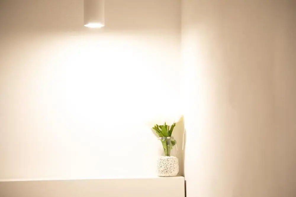 Photo - San Marco Design Suites