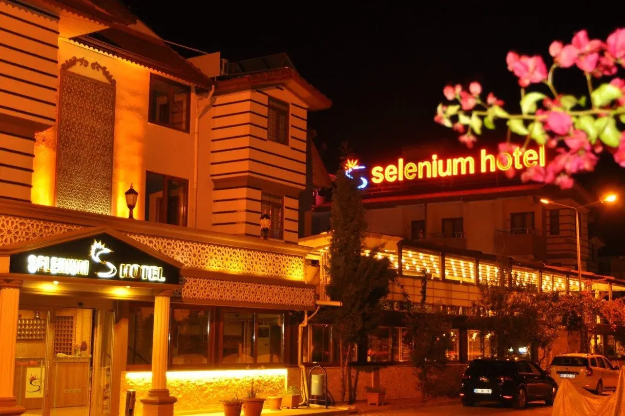 Foto - Selenium Hotel
