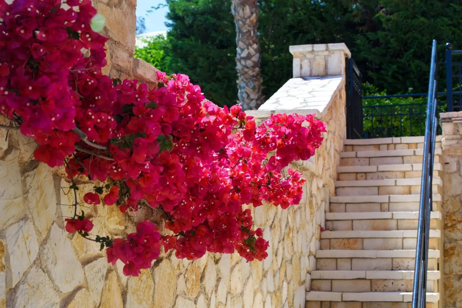 Foto - Luxury Corfu Villa Villa Lemonia Private Pool