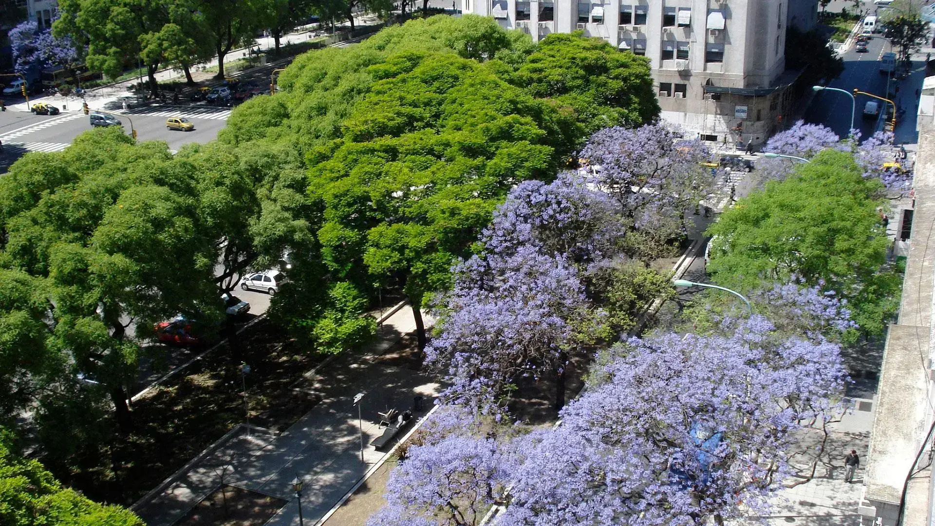 Foto - HTL 9 de Julio BsAs