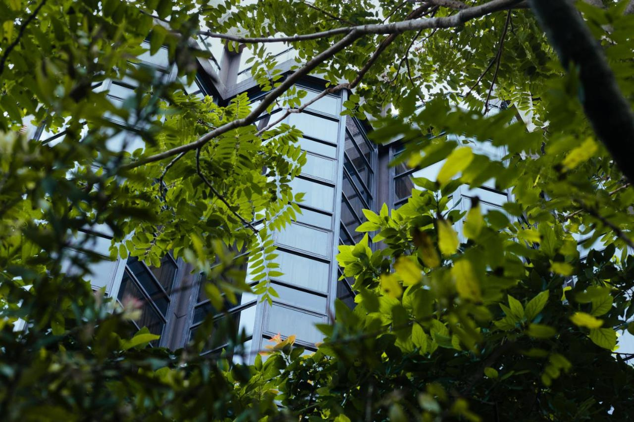 Foto - Primacy Hotel
