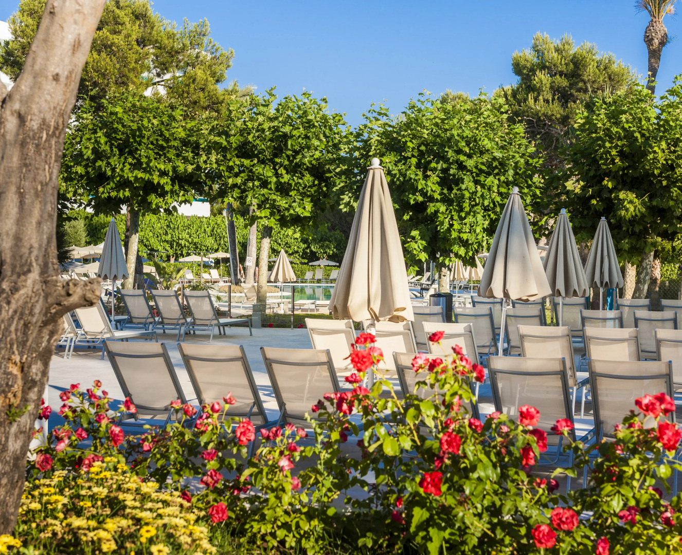 Foto - Globales Mediterrani