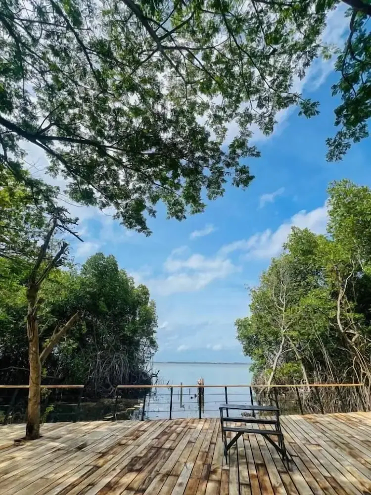 Foto - Blue Mangrove lagoon by serenity