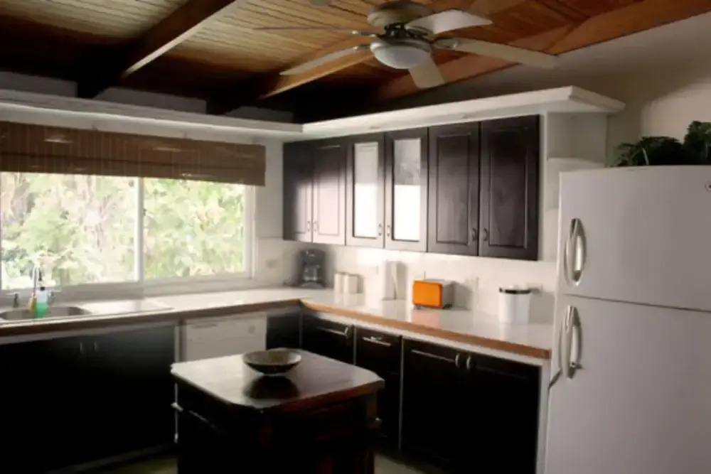 Photo - The Falls at Manuel Antonio