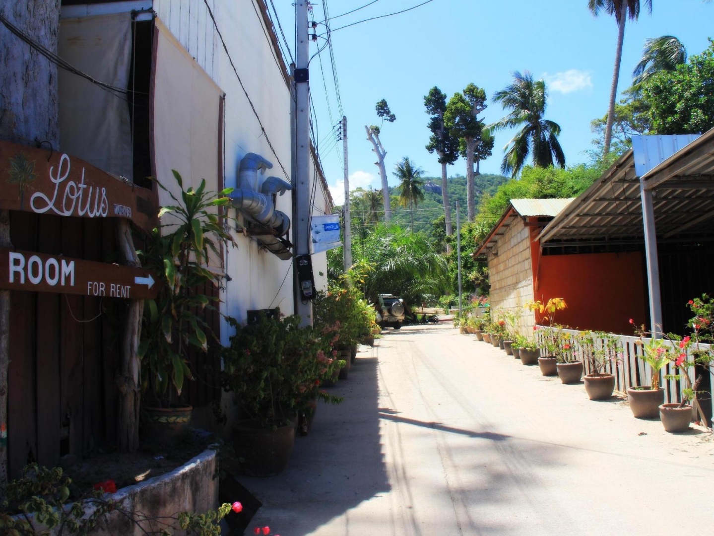 Lotus Hostel Beach Koh Tao