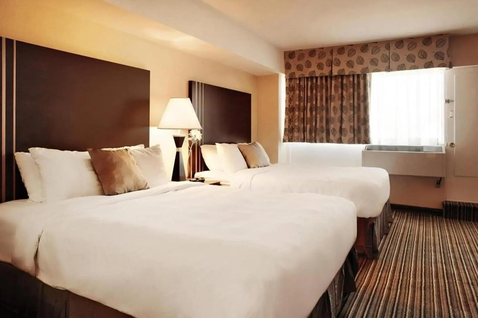 Foto - Comfort Suites Downtown