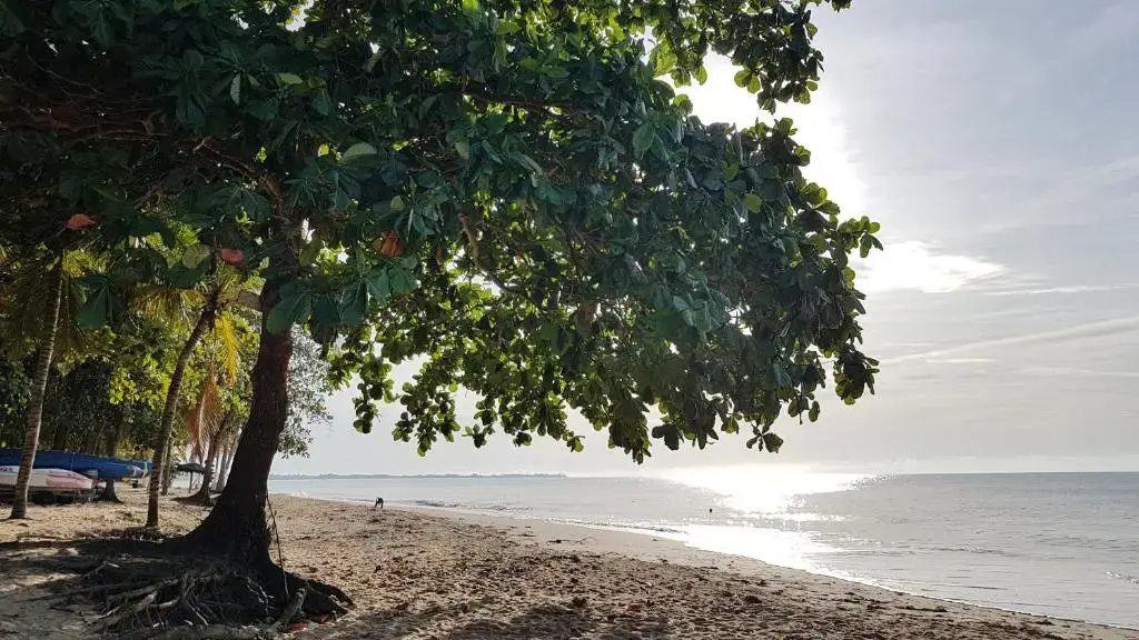 Foto - Ondas Praia Resort