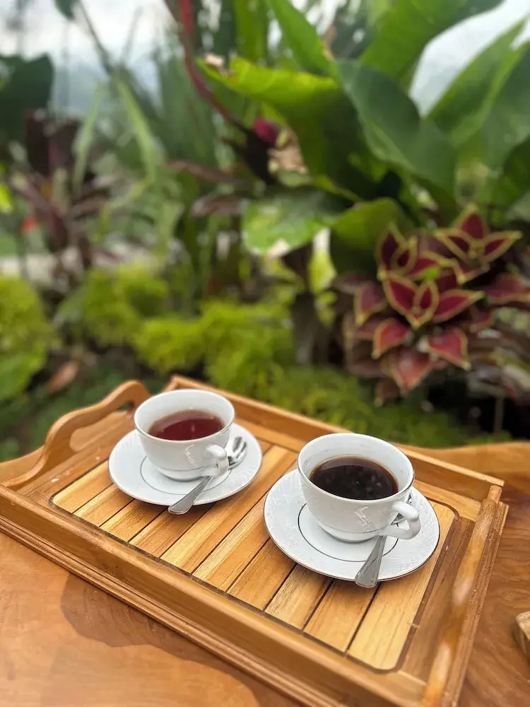 Photo - Punduk Villa - The Manta