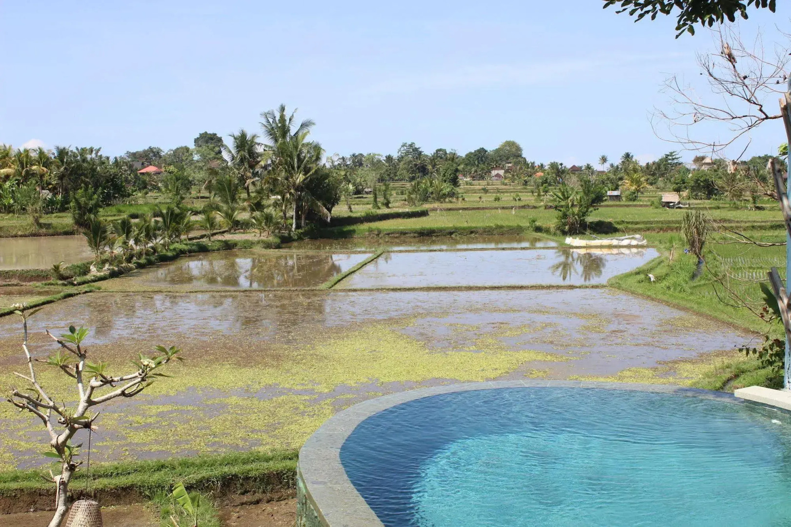 Foto - Ubud Padi Villas