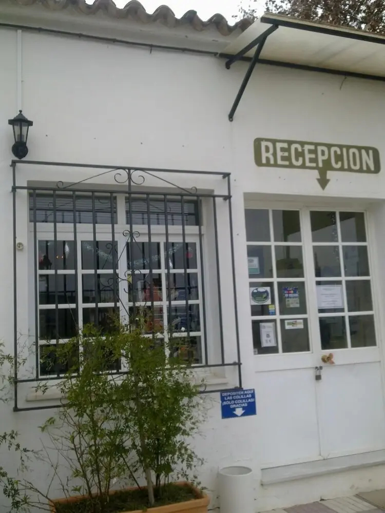 Foto - Camping Fuente de Piedra
