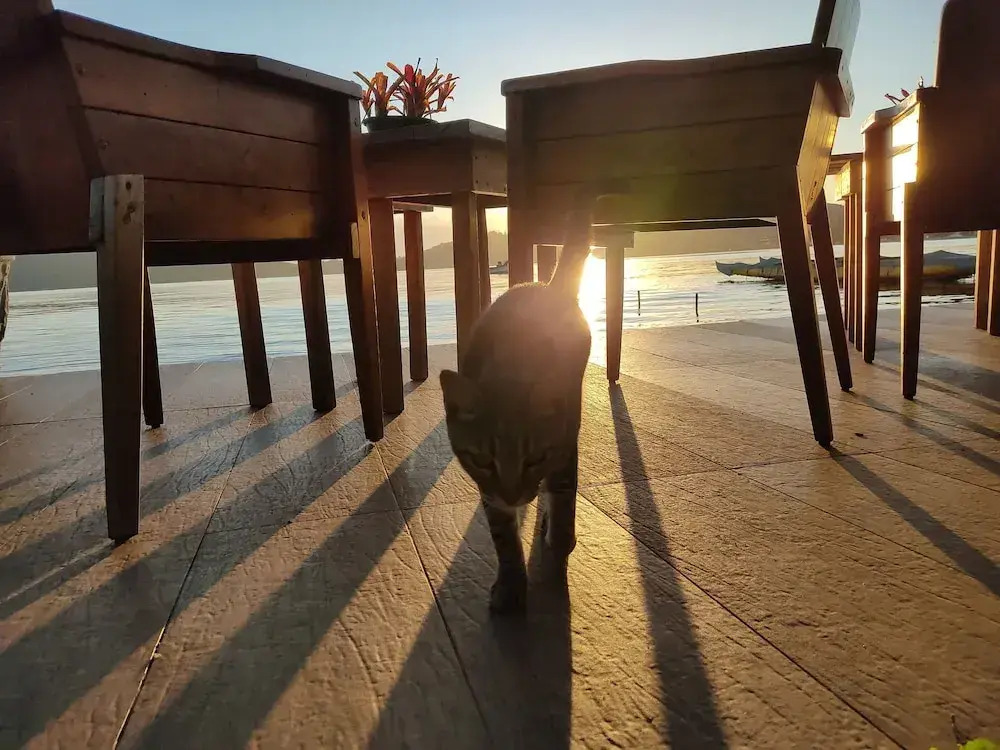 Foto - Lagoa Nômade Hostel