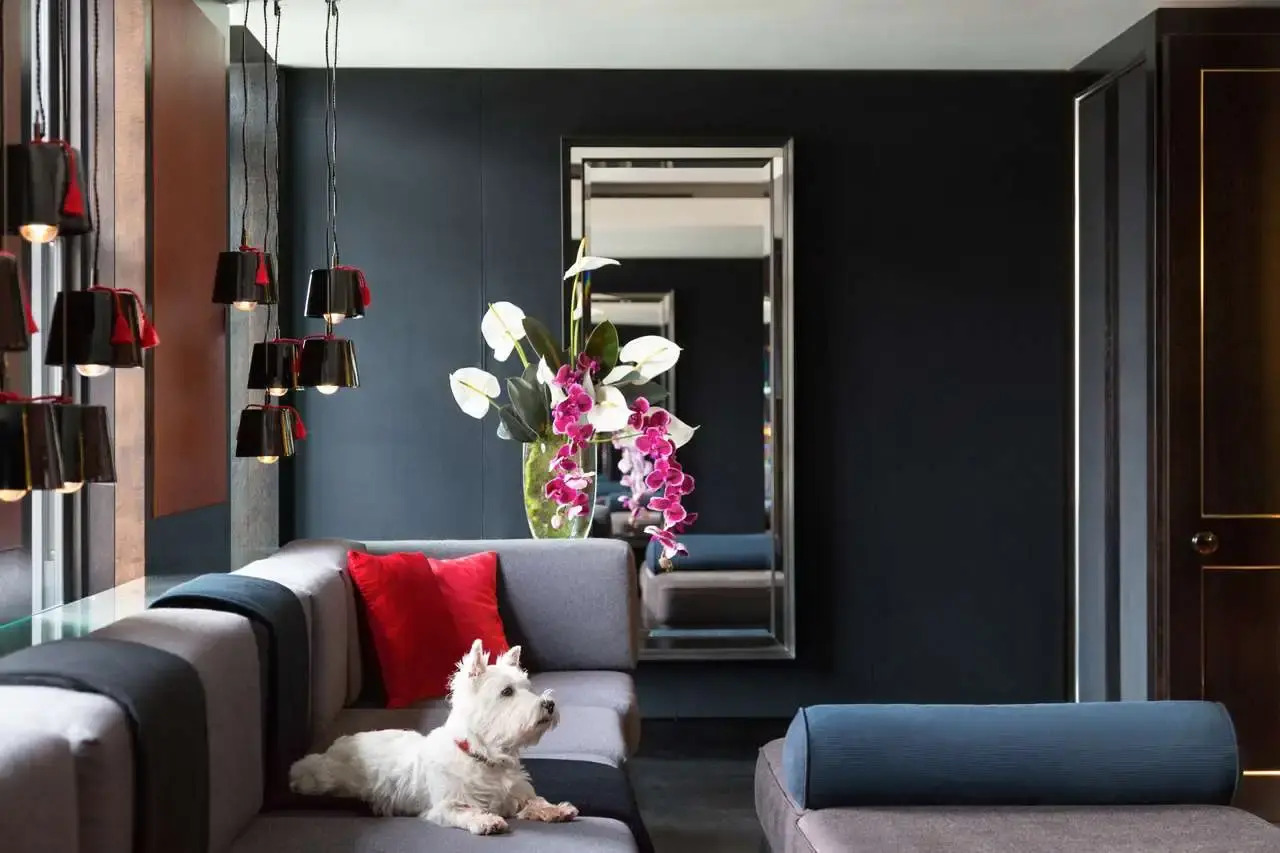 Foto - Grosvenor House Suites