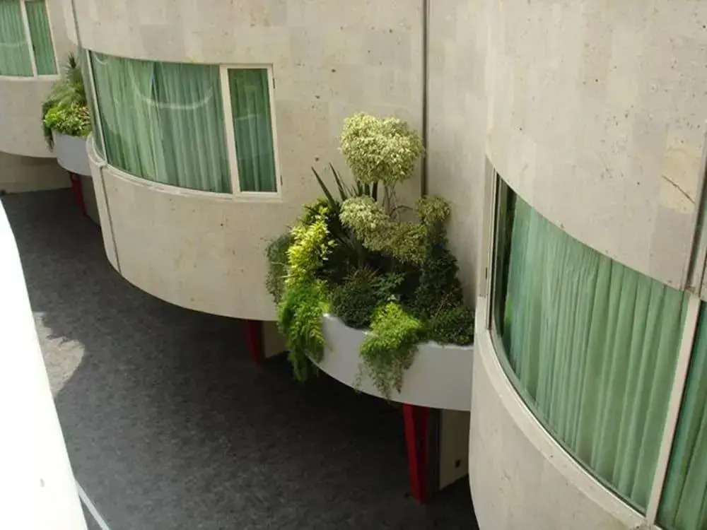 Foto - Hotel Scala Magna