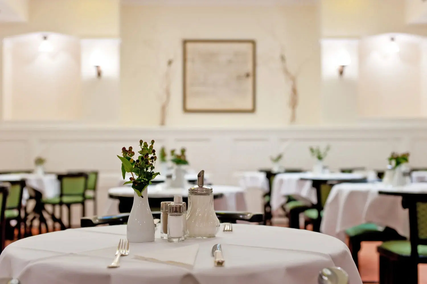 Photo - Hotel Johann Strauss