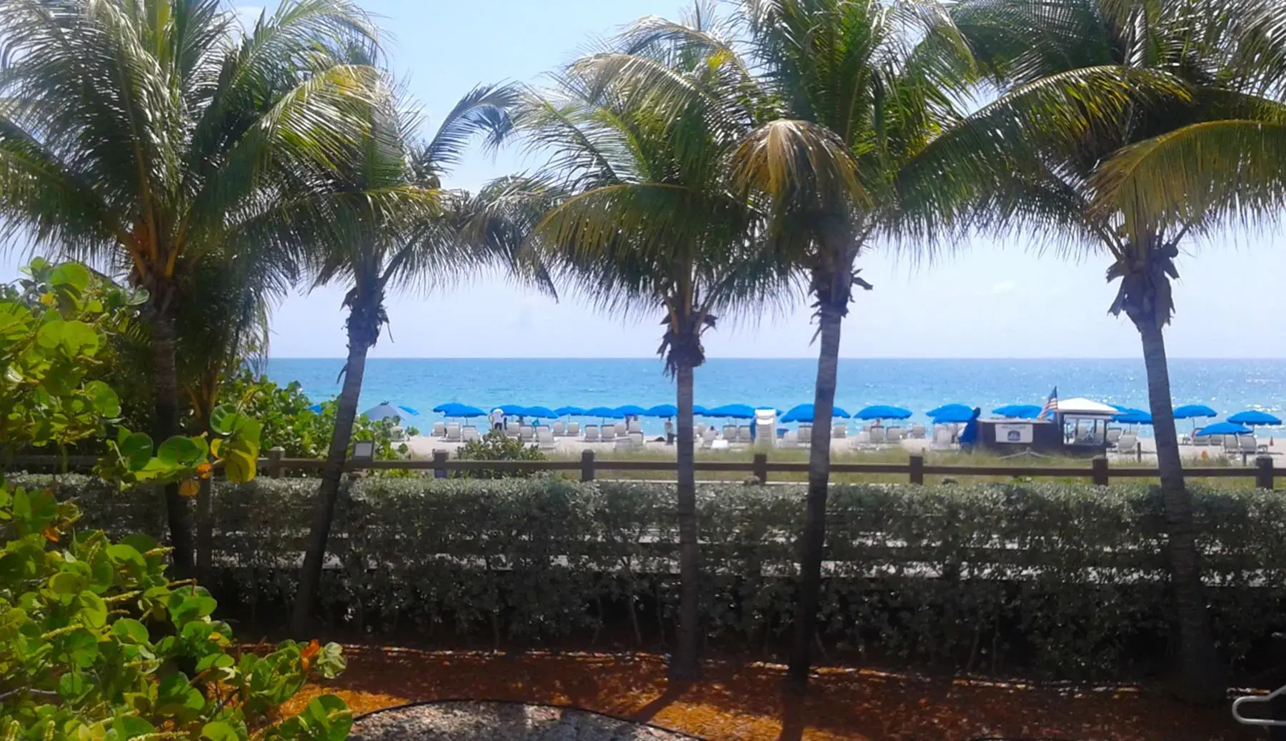 Foto - Best Western Plus Atlantic Beach Resort