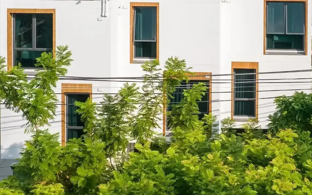 Foto - Zen Master Hotel