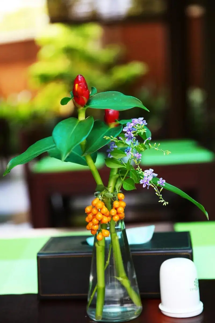 Photo - Tropicana Resort Phu Quoc