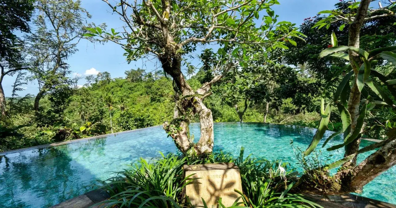Foto - Natura Resort and Spa Ubud