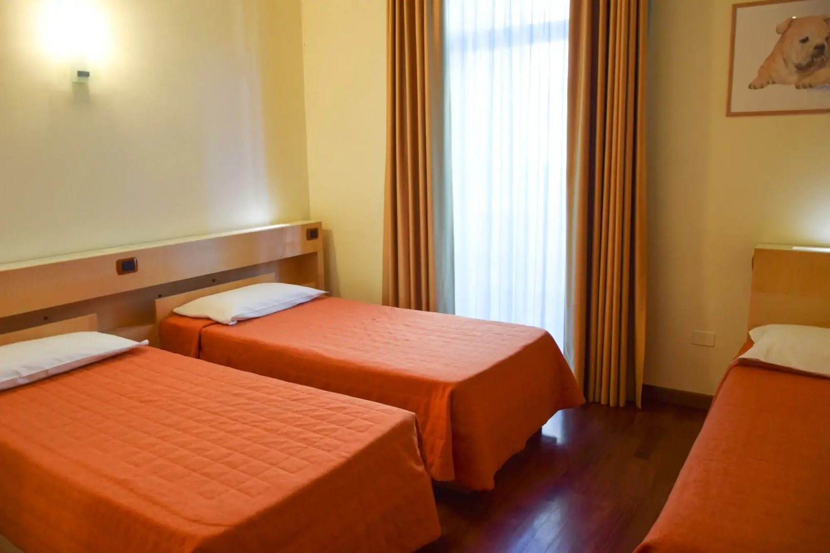 Foto - Hotel Losanna