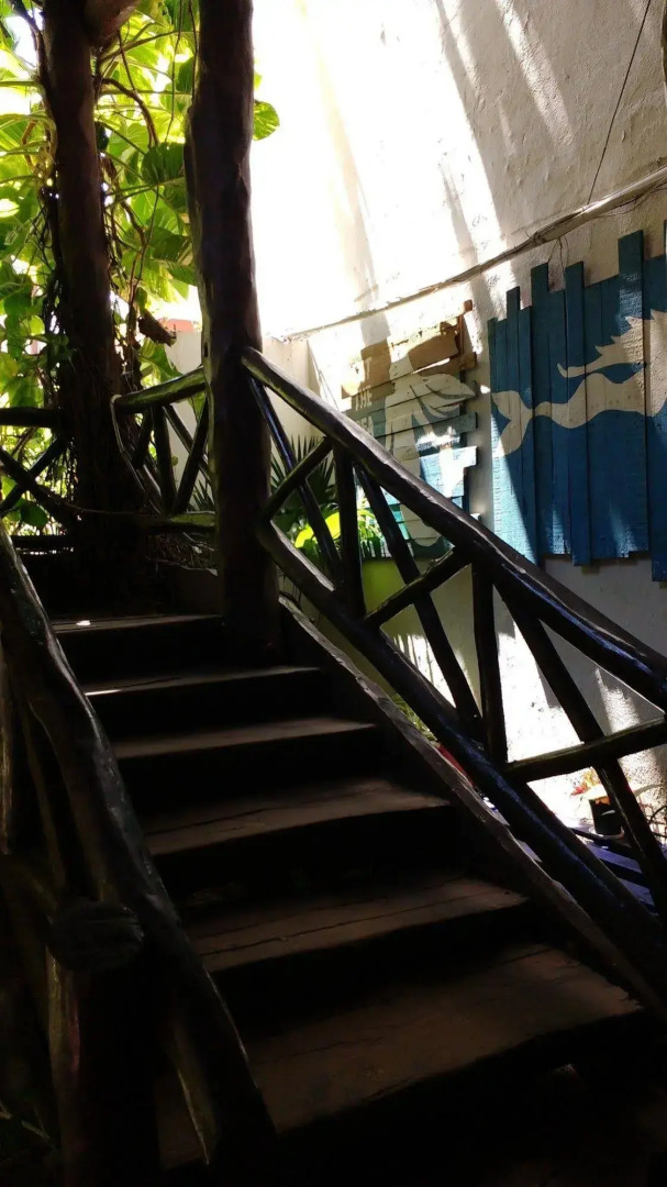 Foto - Casa CARIBE Cancun