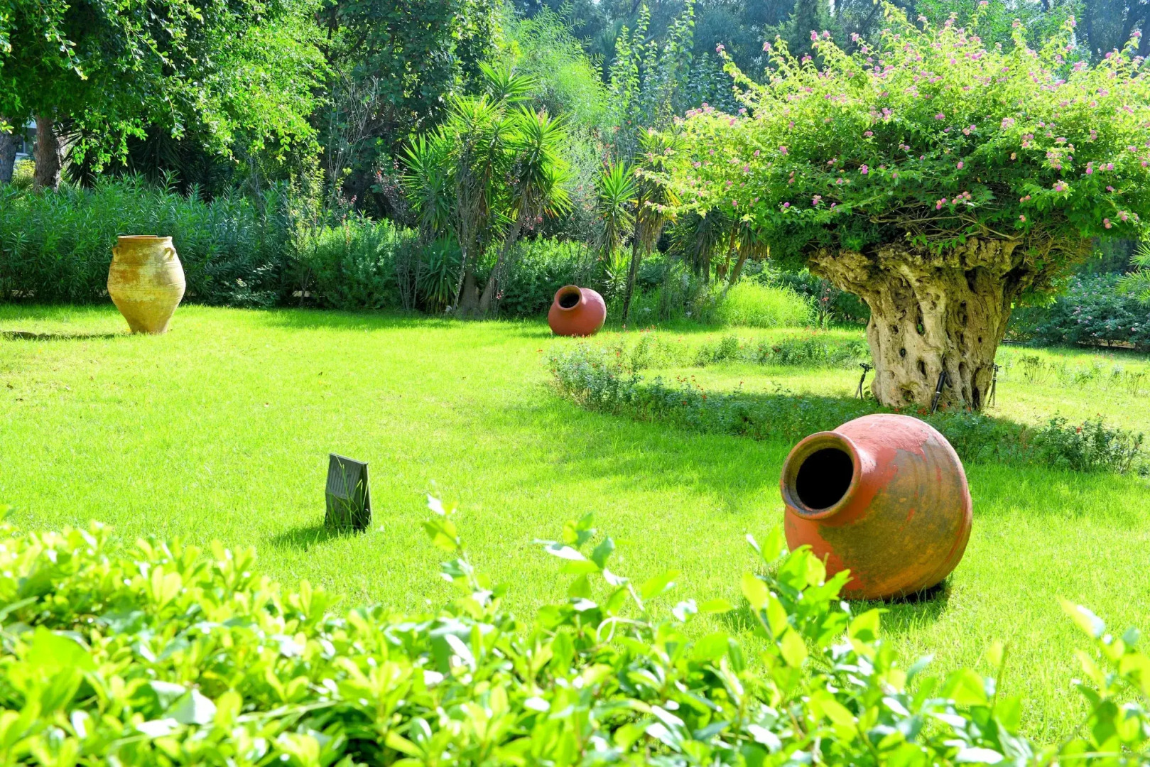 Photo - Dionysos Hotel