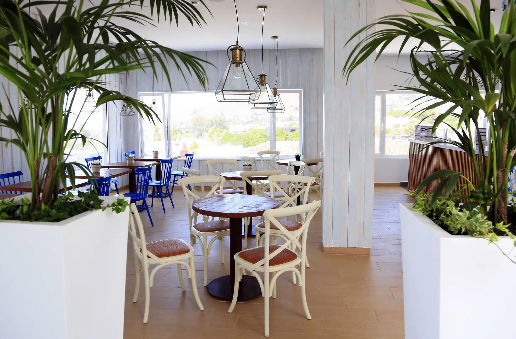 Foto - BLUESEA Alyssa Suite Hotel