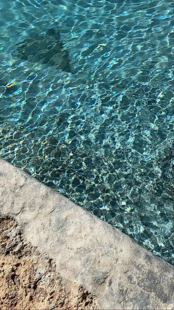 Foto - Masseria San Francesco