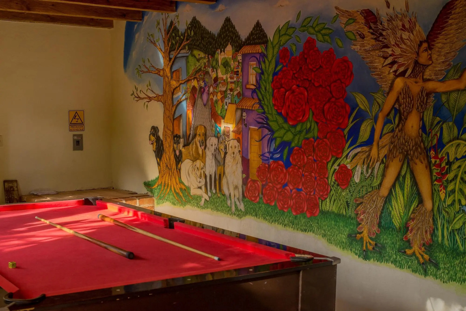 Photo - Rossco Hostel & Hotel