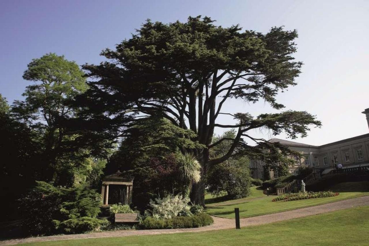 Foto - Macdonald Bath Spa