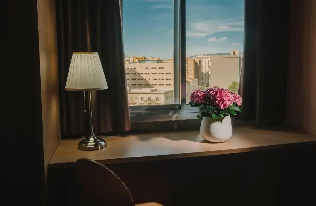 Photo - Hotel Embajador