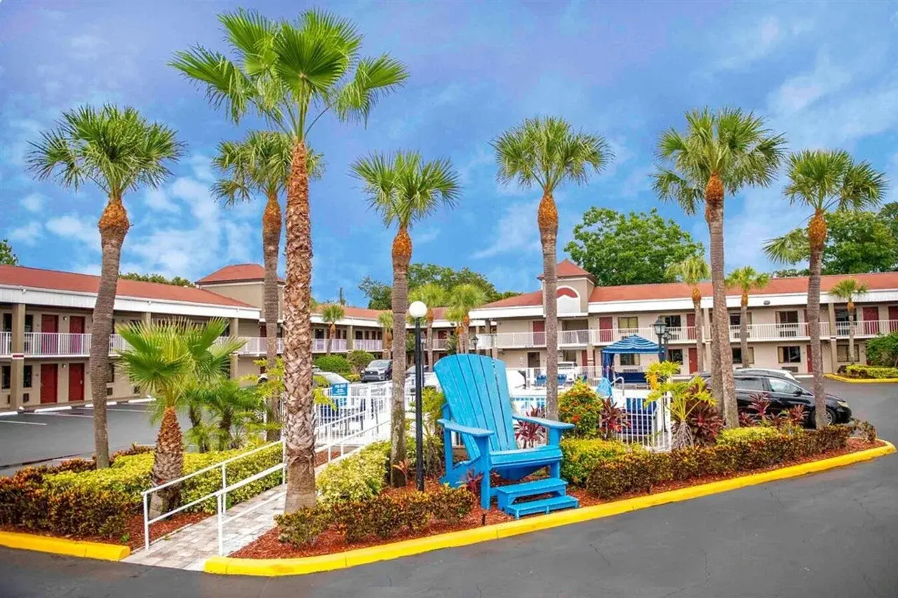 Foto - Hotel South Tampa & Suites