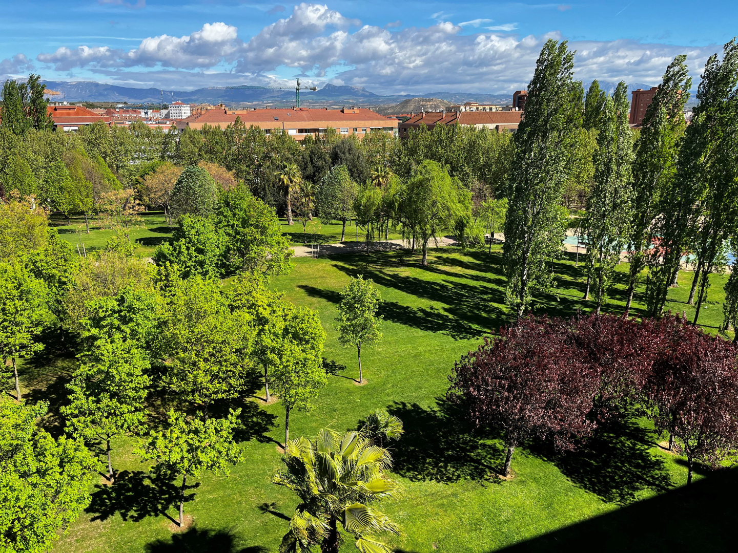 Foto - Holiday Inn Express Logrono Rioja by IHG
