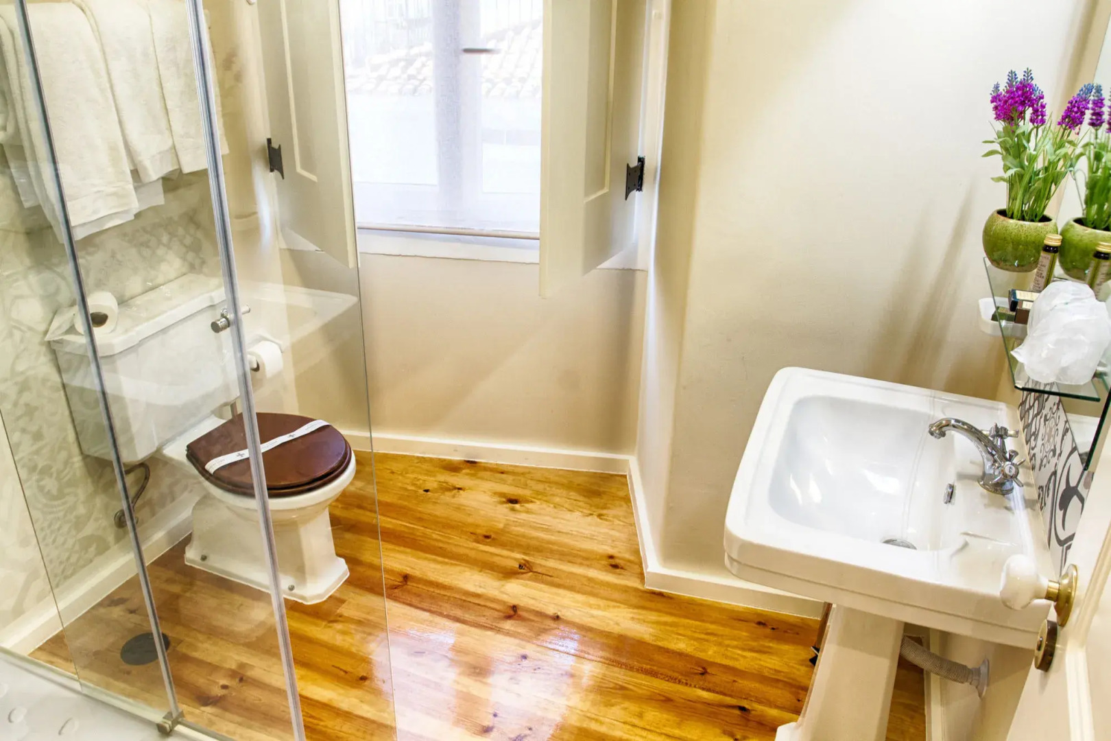 Photo - Hotel Alegria