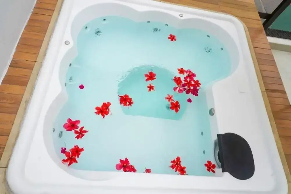 Photo - Pousada Flor de Maraca