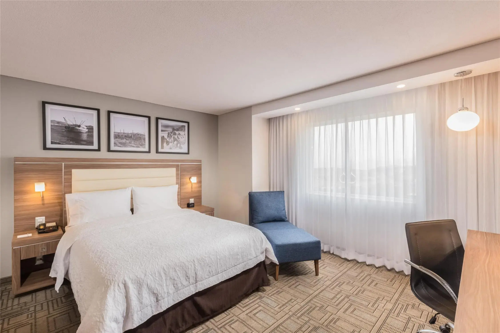 Foto - Hampton Inn by Hilton Tijuana
