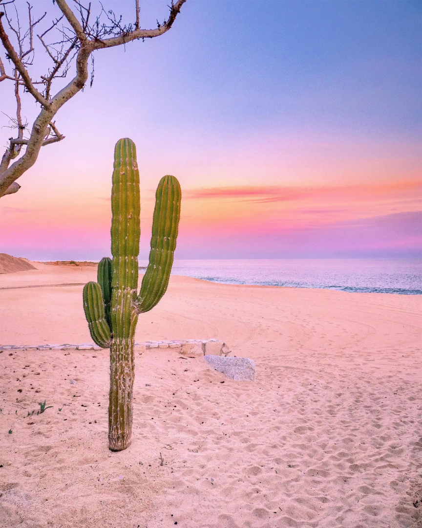 Photo - Park Hyatt Cabo Del Sol