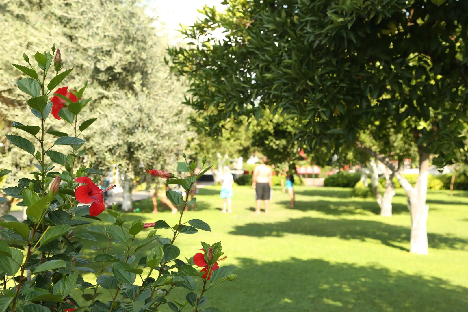 Photo - Viking Garden Hotel