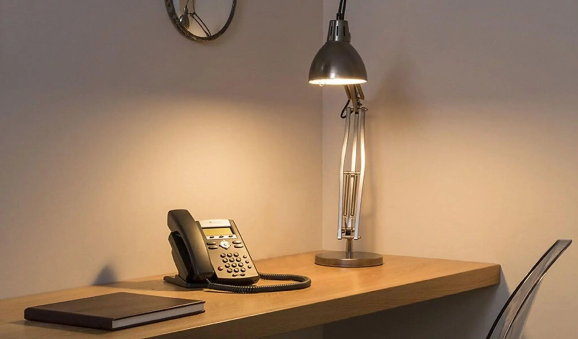 Photo - The Bull and The Hide