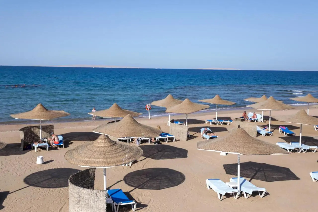 Photo - Calimera Blend Paradise