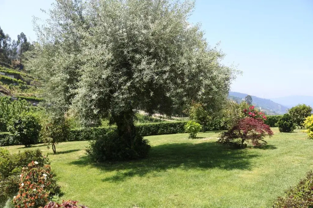 Photo - Quinta do Bento