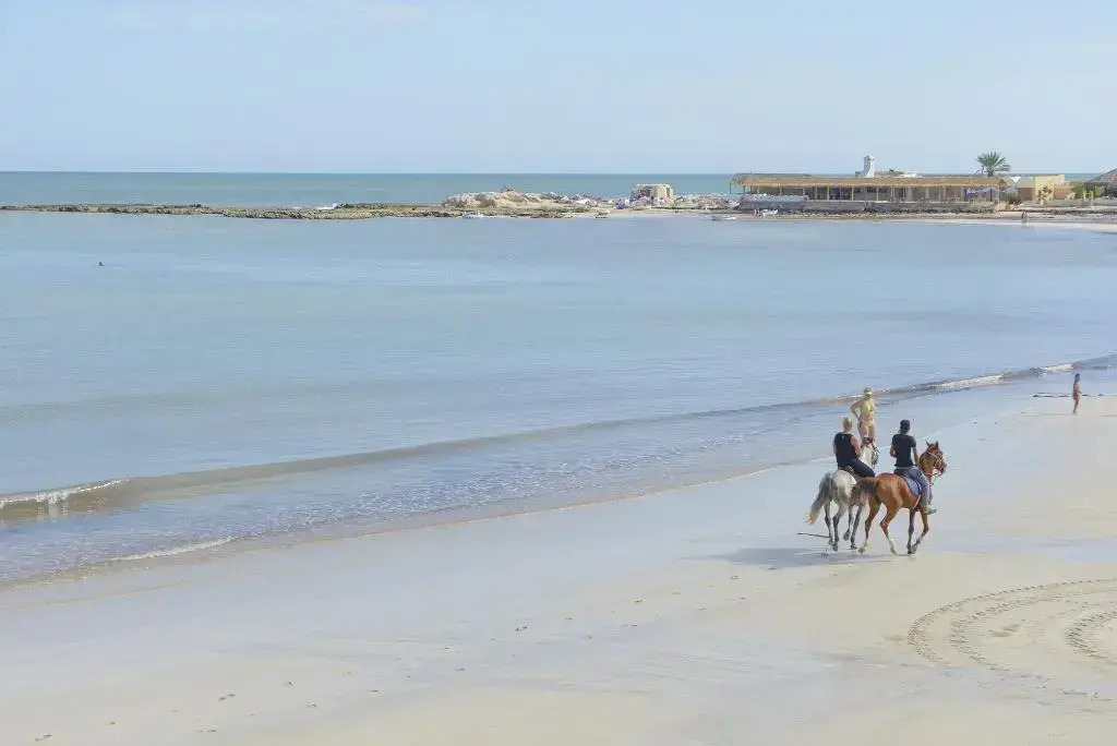 Foto - Monarque Dar Jerba Narjess- Family Only